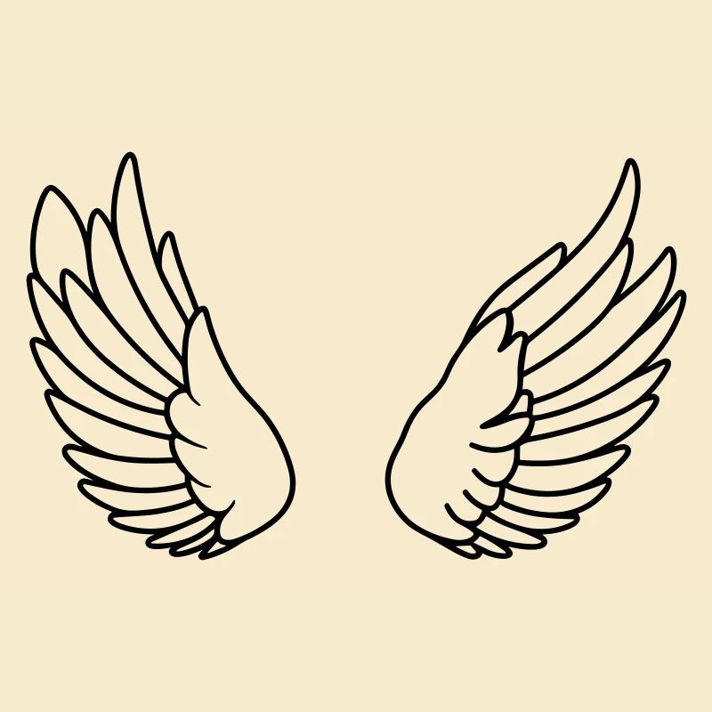 Ailes d'ange