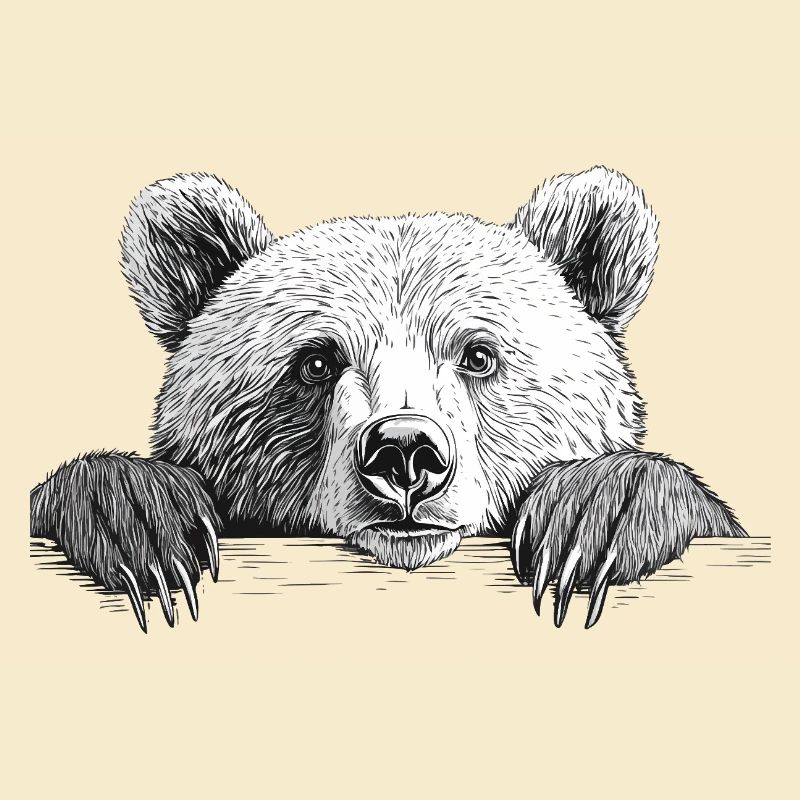 Eisbär