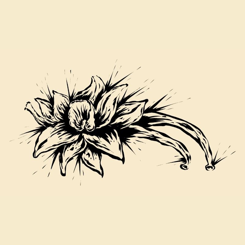 Vanille Blume