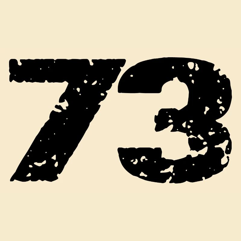 73 Maillot numéro