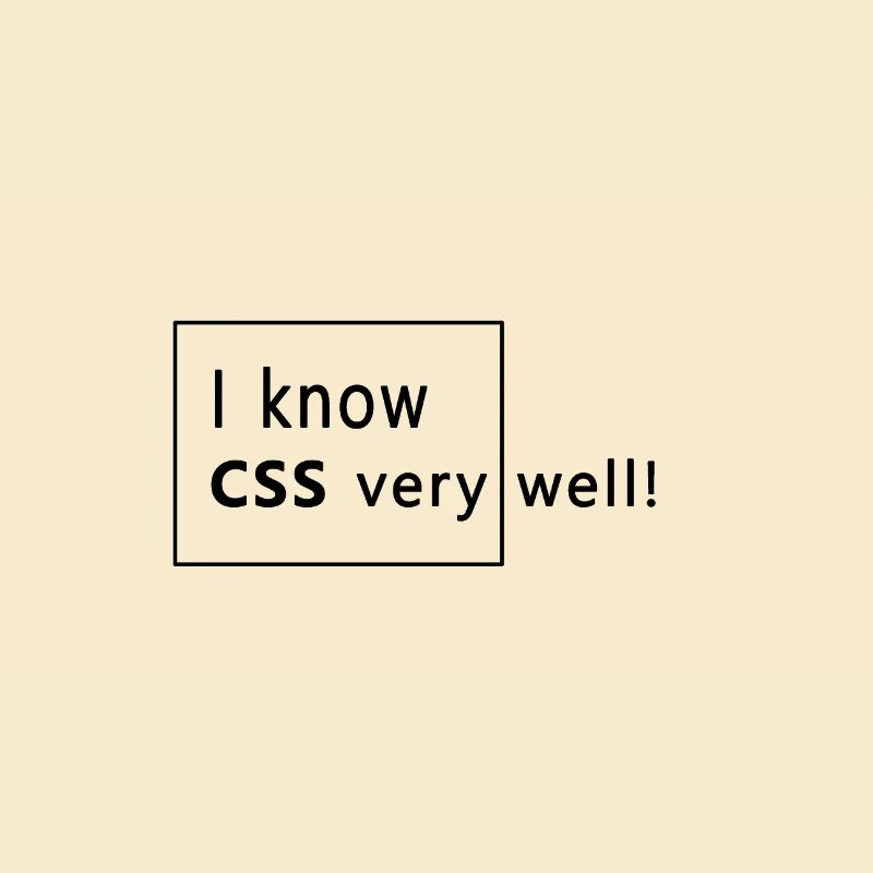 Web developer - CSS