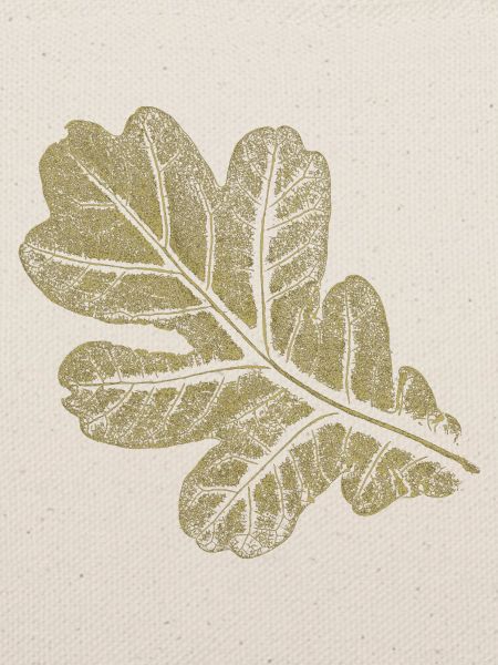 Eichenblatt - Blatt/ Eiche - Natur