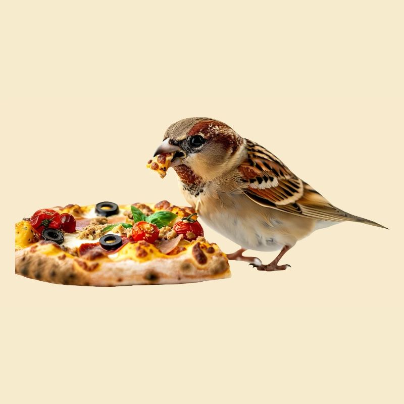 Finch Bird