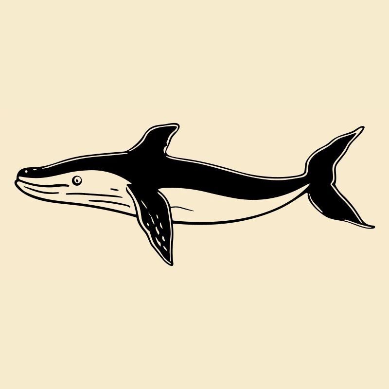 Baleine