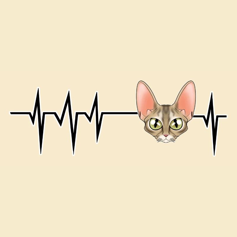 Chat Heartbeat I Devon Rex Chat