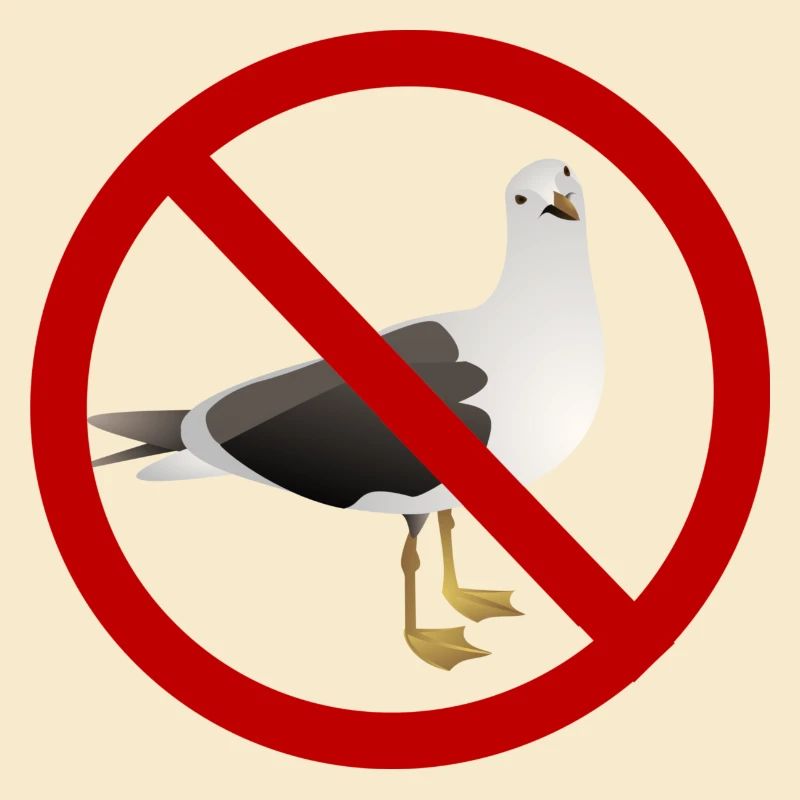 I Hate Seagulls