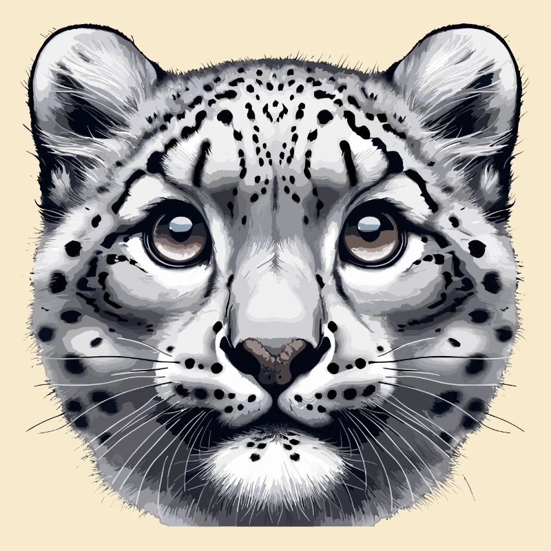 Snow Leopard Leopard White Leopard
