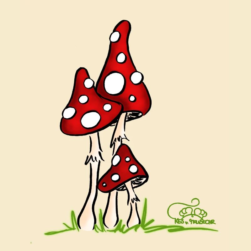 Muchotravky - Toadstools