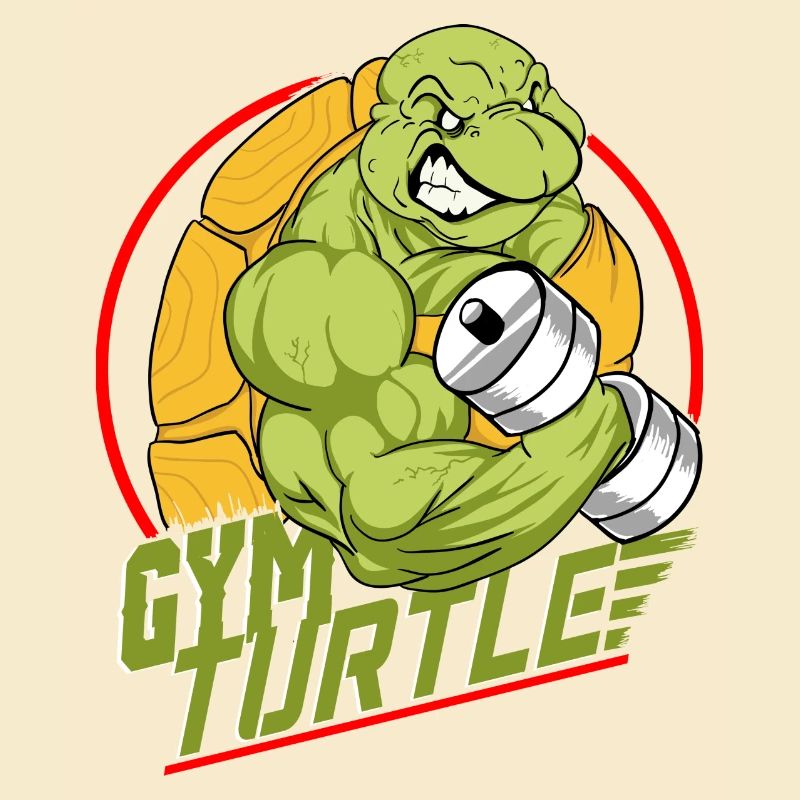 Gym Turtle Gym Design