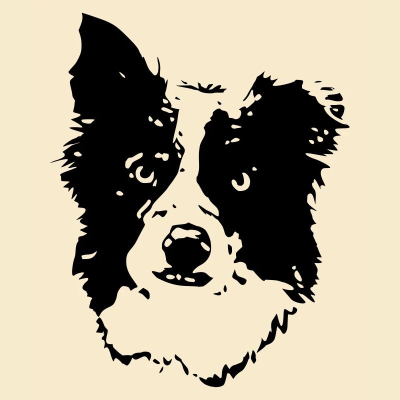 Border_Collie2_cb
