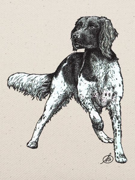 Münsterländer