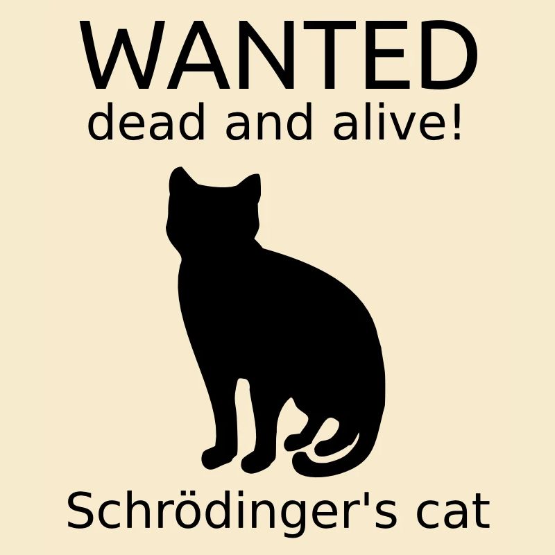 Schrödingers Katze