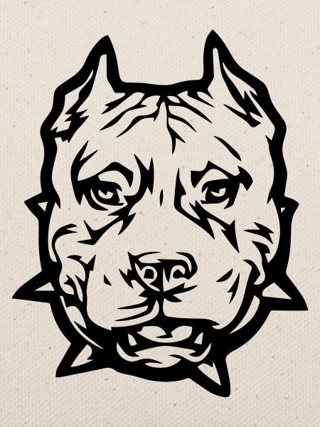 pitbull_1