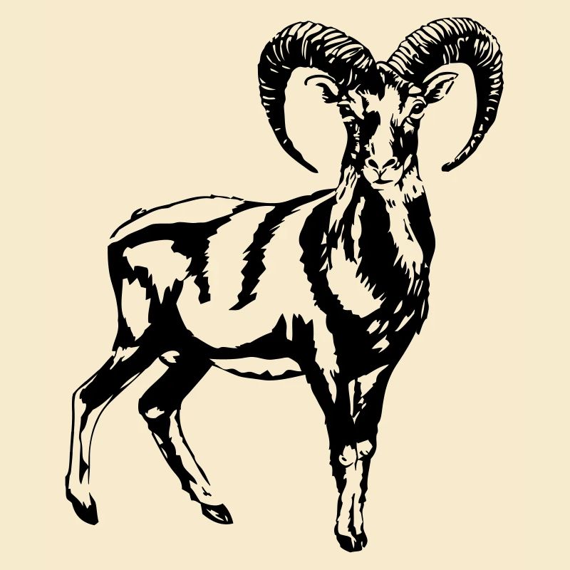 Mufflon