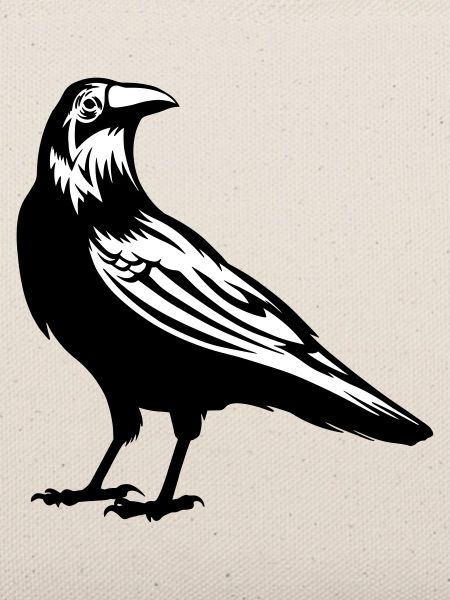 Raven - crow