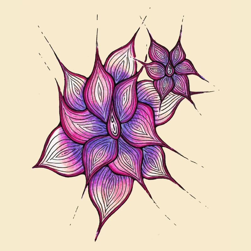 Vulva Blume
