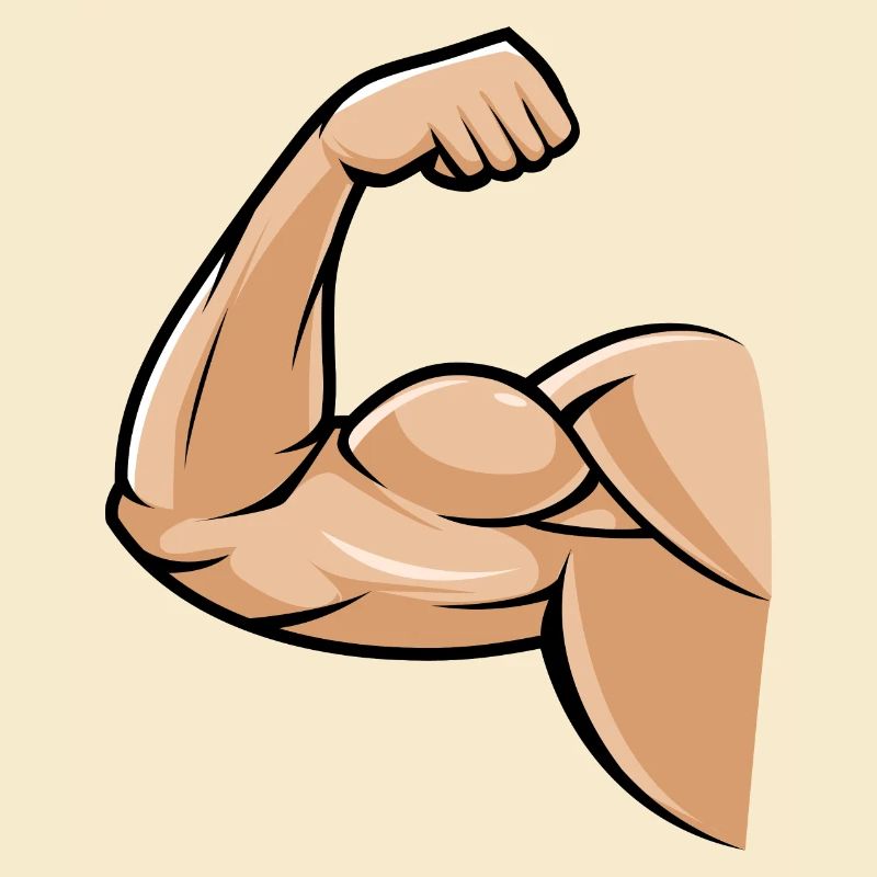 biceps muskel