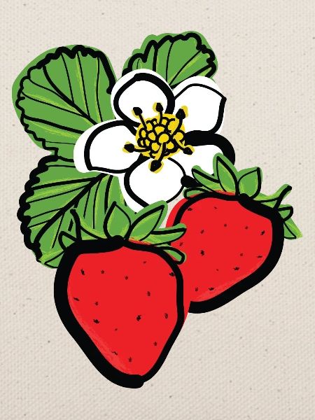 Erdbeeren Früchte