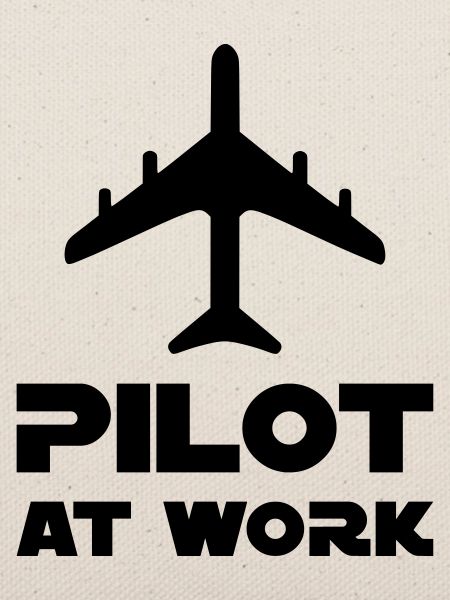 Pilot at work (Flugzeug)