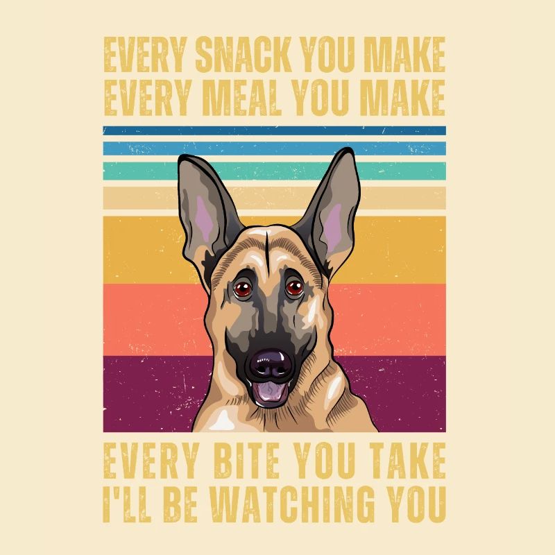 Watching German Shepherd