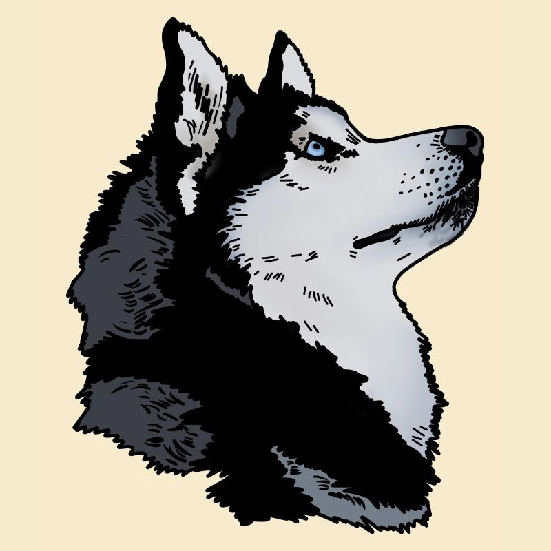 Husky Kopf