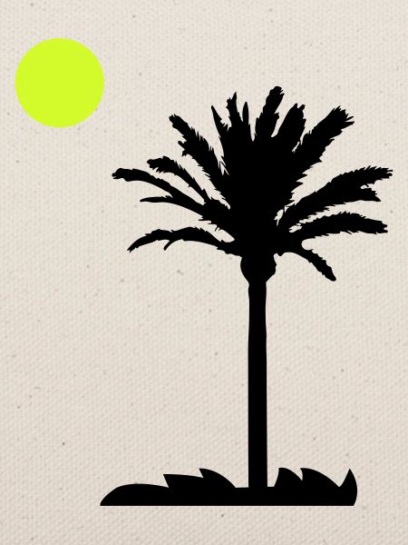 palm tree