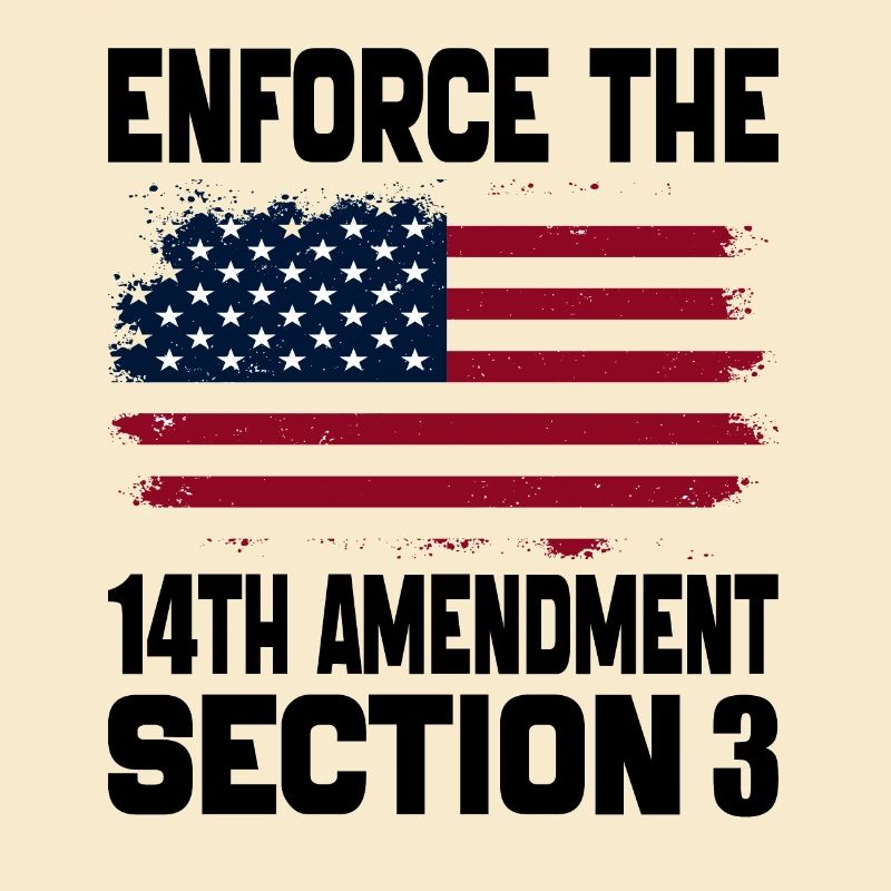Enforce The 14TH Amendment Section 3