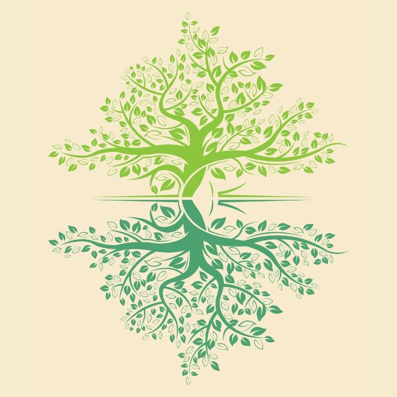 Tree Reflection Forest Nature Protection Outdoor Logo