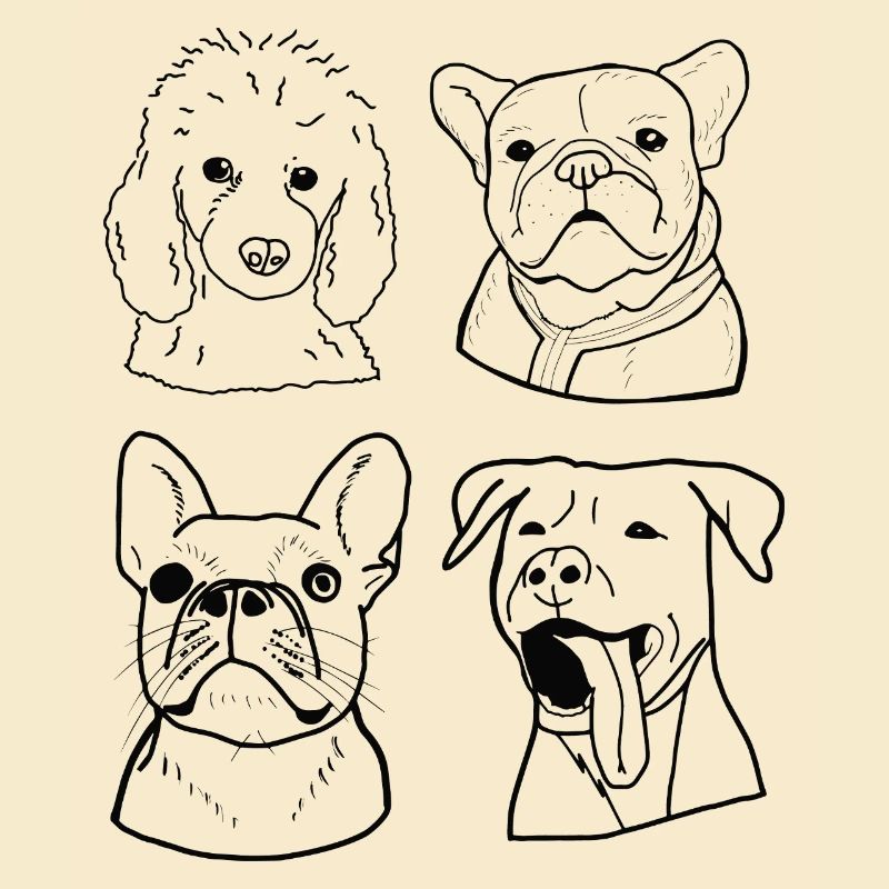 Dogs