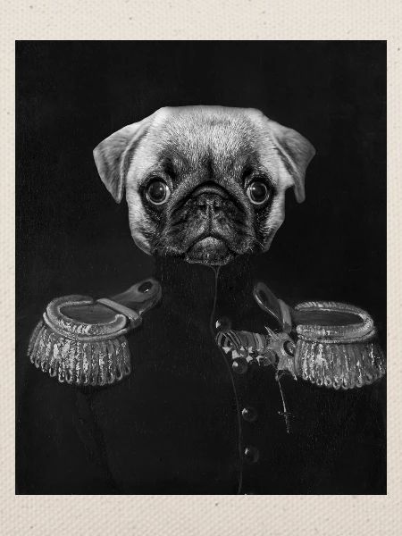 General Pug mit kaiserlichem Porträt
