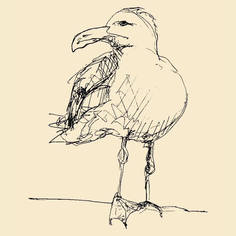 Mouette