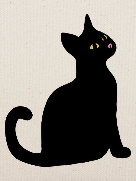 Nächtliche Katzenblick