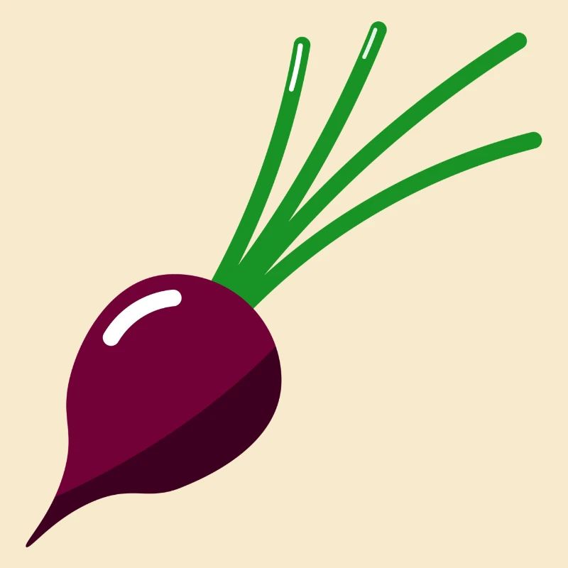 Betterave - Illustration