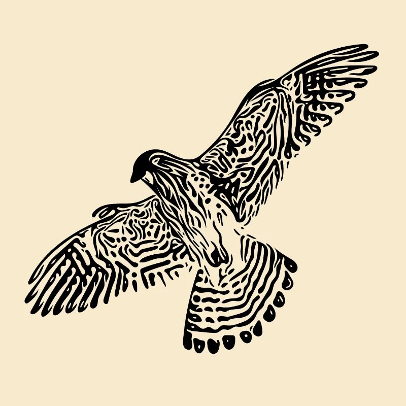 Falcon en vol
