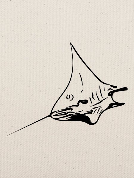 Eleganter Mantarochen im Flug