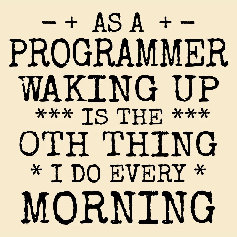 Software Ingenieur Informatiker Programmierer