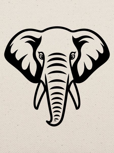 Elefant Kopf
