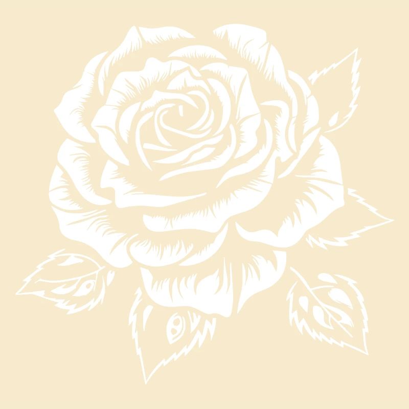 Rose blanche