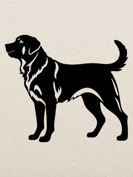 Kangal Hund