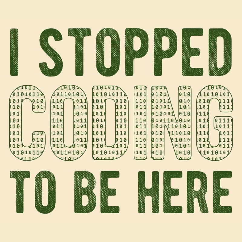 Software Ingenieur Informatiker Programmierer