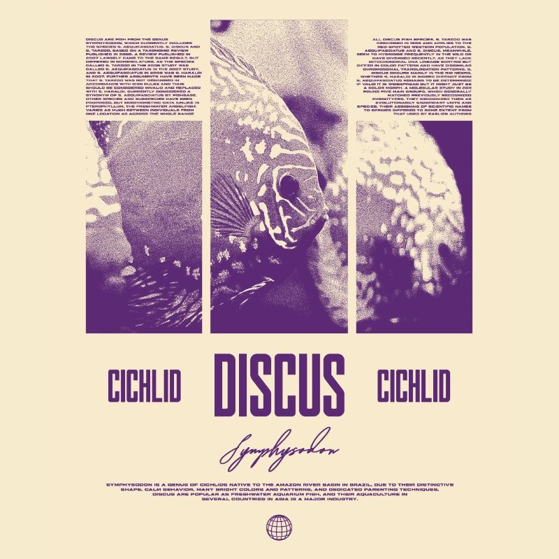 Discus Cichlidé Aquarium Fish Keeper
