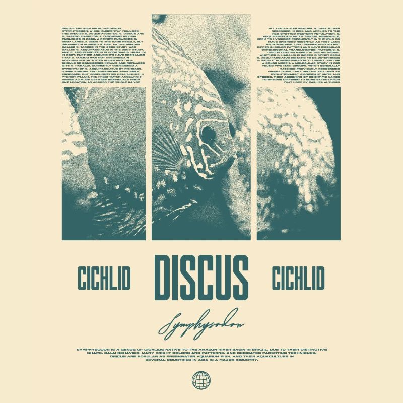 Discus Cichlidé Aquarium Fish Keeper