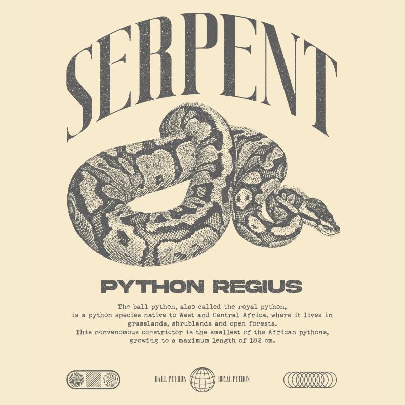 Ball Python Modern Reptile Keeper Streetwear