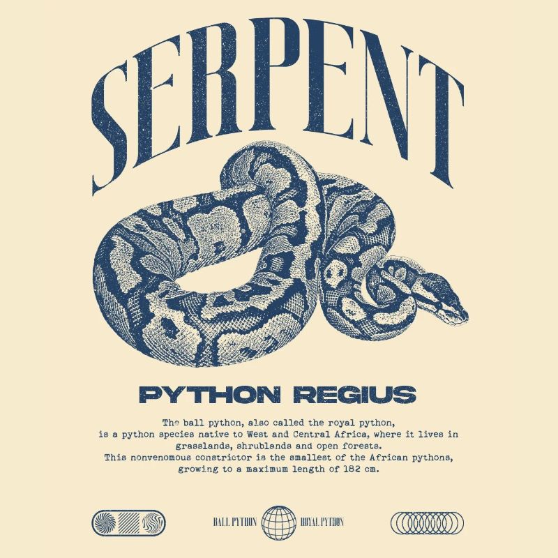 Ball Python Modern Reptile Keeper Streetwear