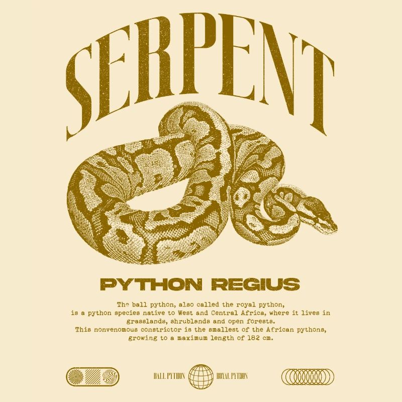 Ball Python Modern Reptile Keeper Streetwear