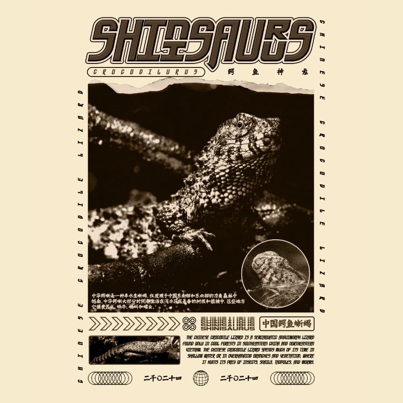 Chinesisches Krokodil Eidechse Shinisaurus Crocodilurus