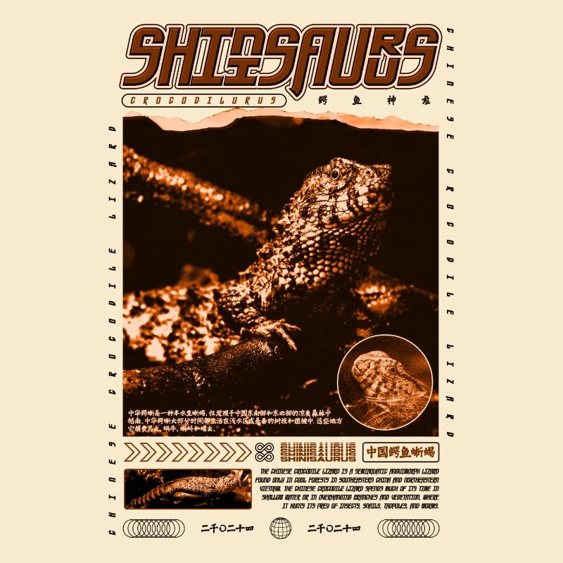 Chinesisches Krokodil Eidechse Shinisaurus Crocodilurus
