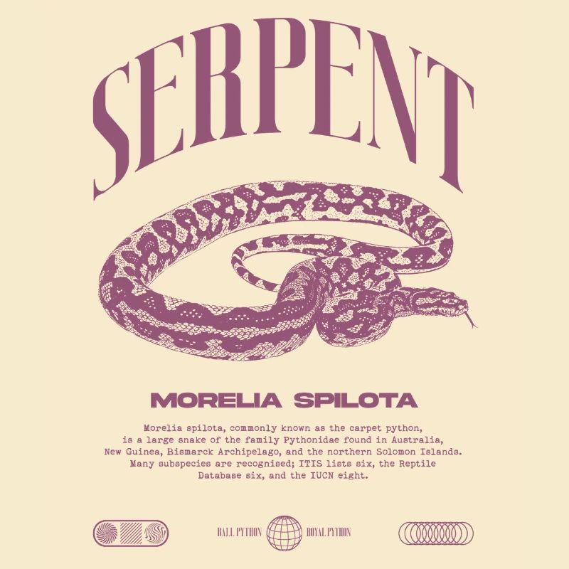 Carpet Python Modern Reptile Keeper Streetwear