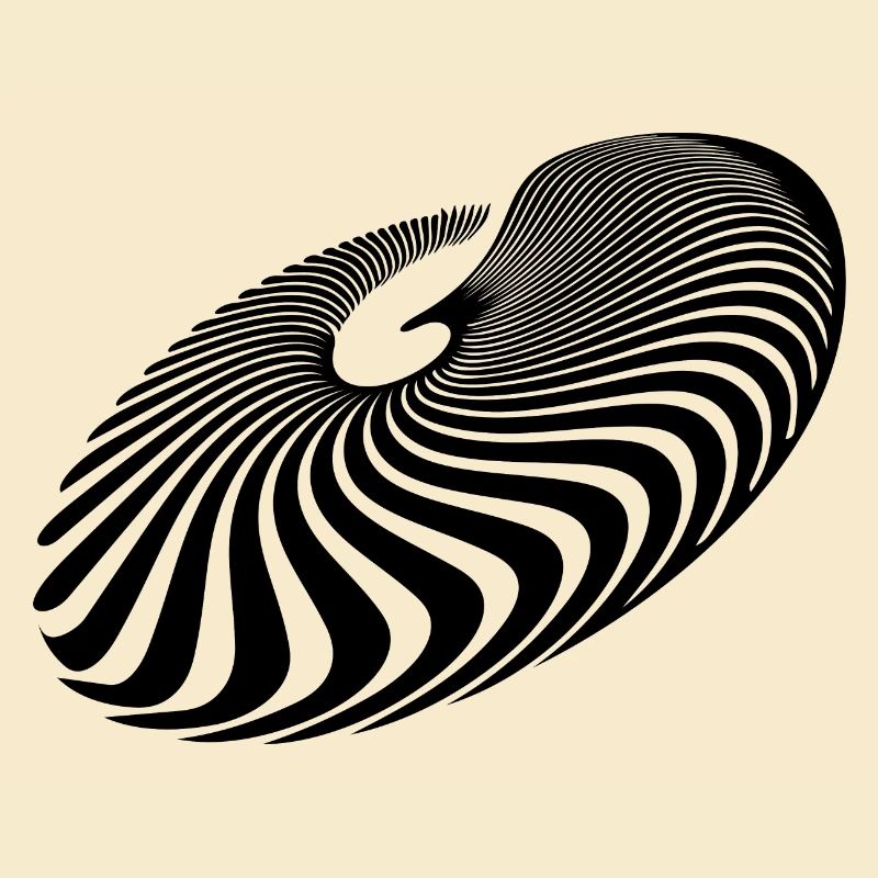 Geometric Circle Lines Spiral