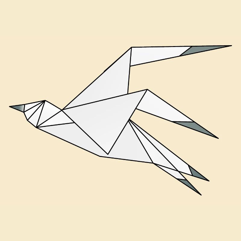 Möwe